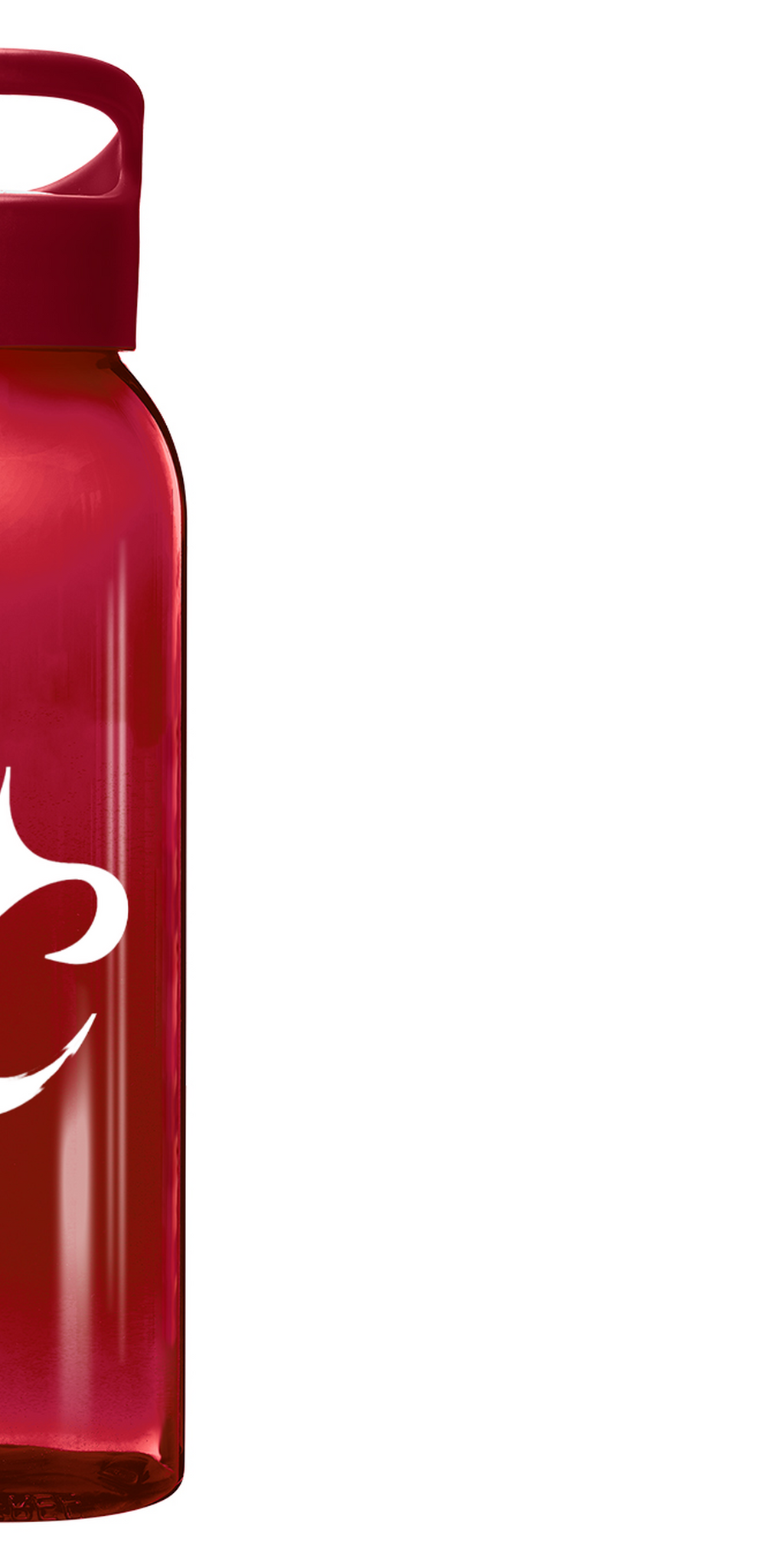 Gourde VitalFlow - 650ml