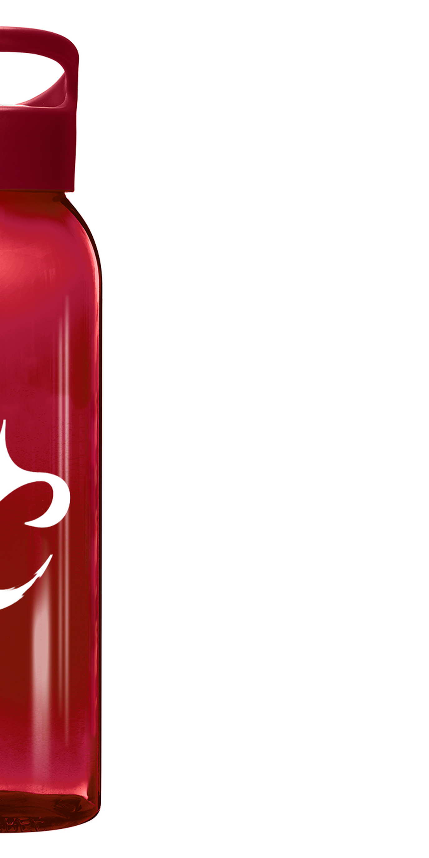 Gourde VitalFlow - 650ml