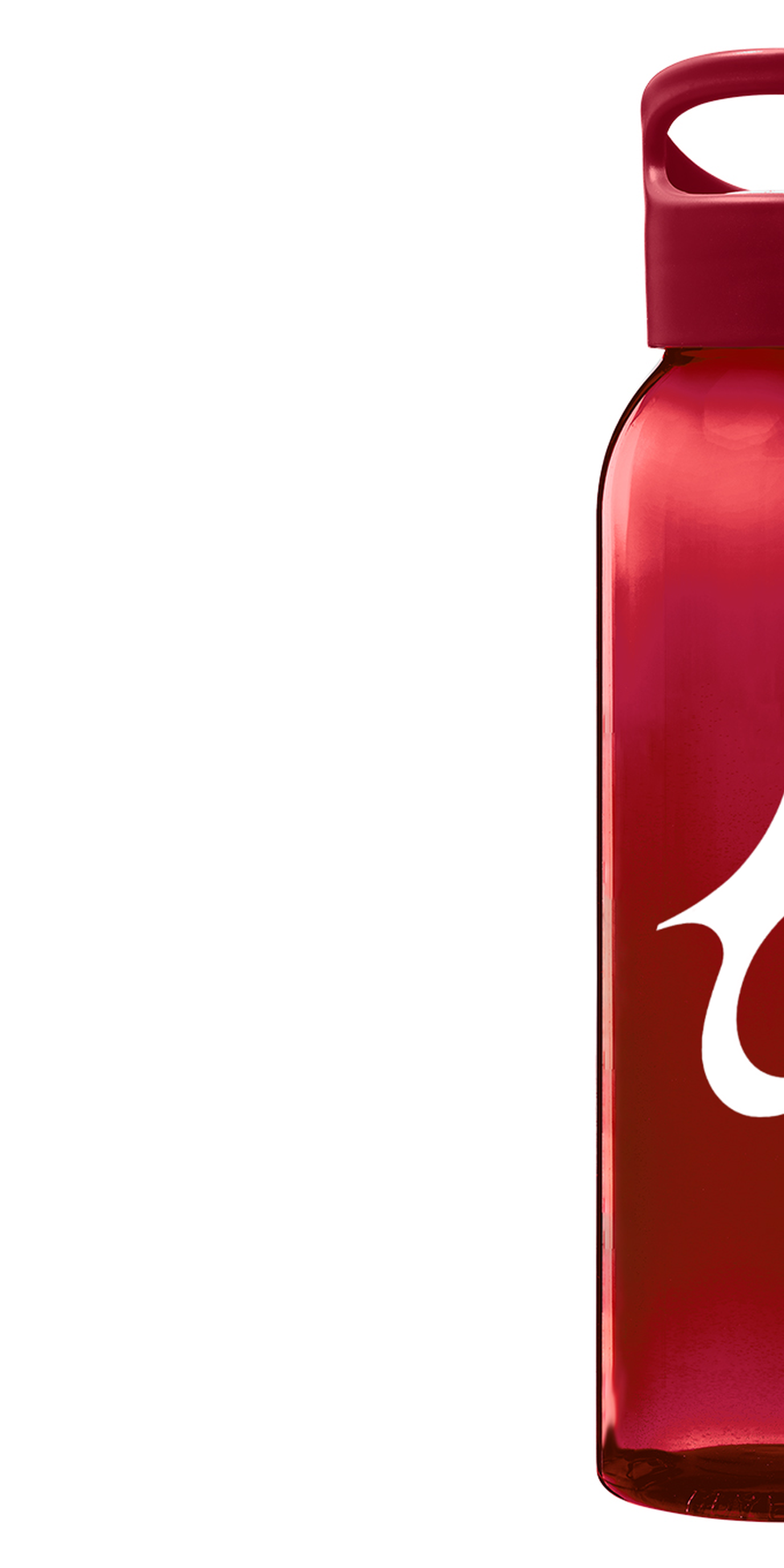 Gourde VitalFlow - 650ml