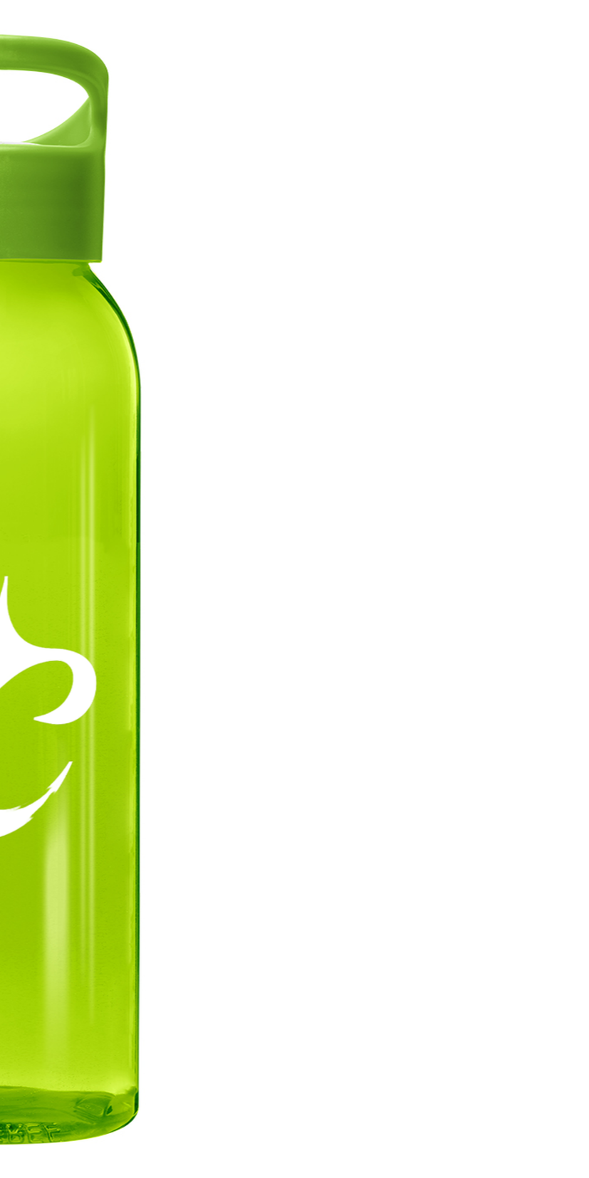 Gourde VitalFlow - 650ml