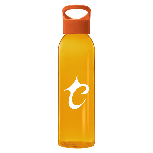 Gourde VitalFlow - 650ml