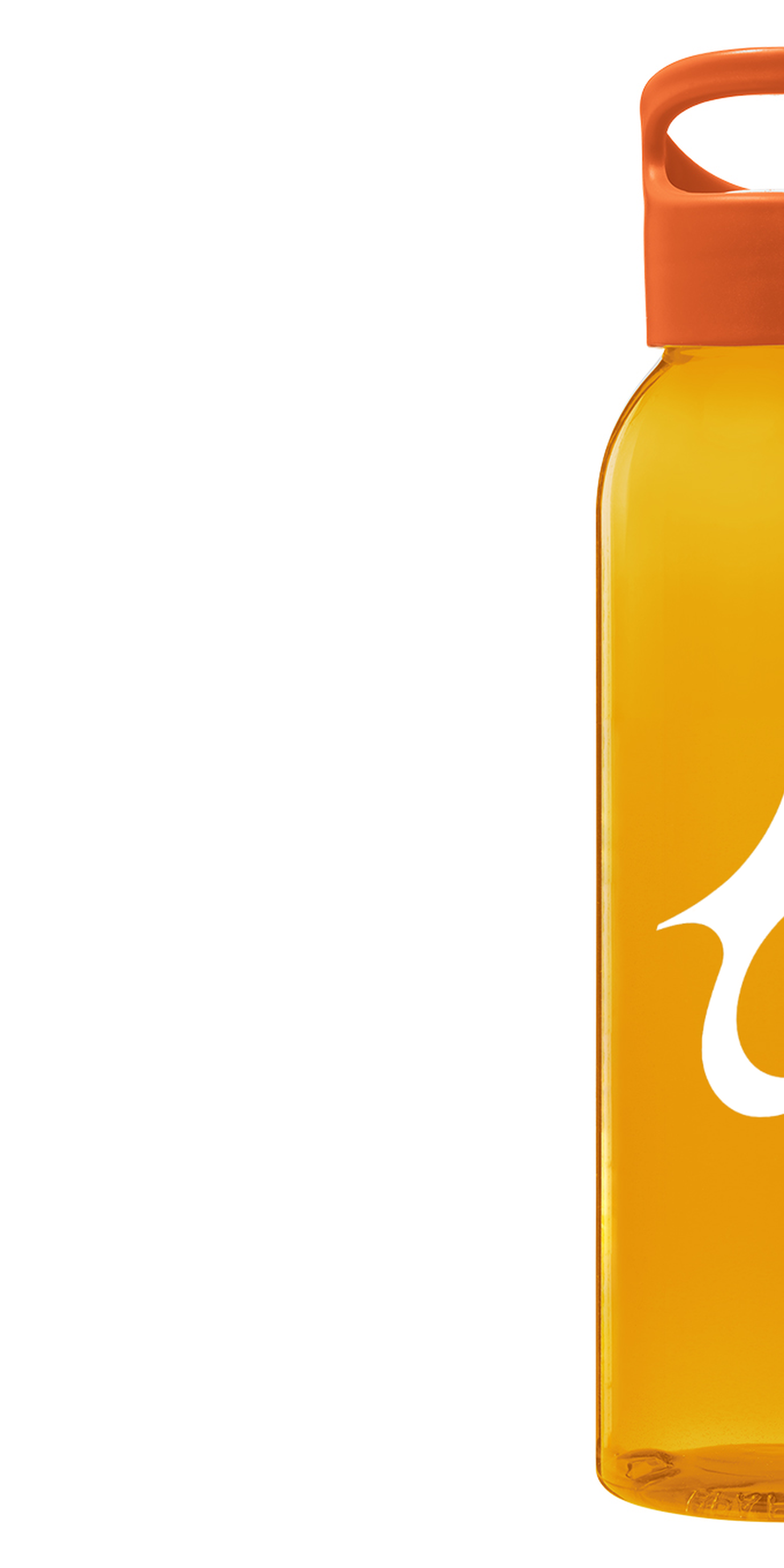 Gourde VitalFlow - 650ml