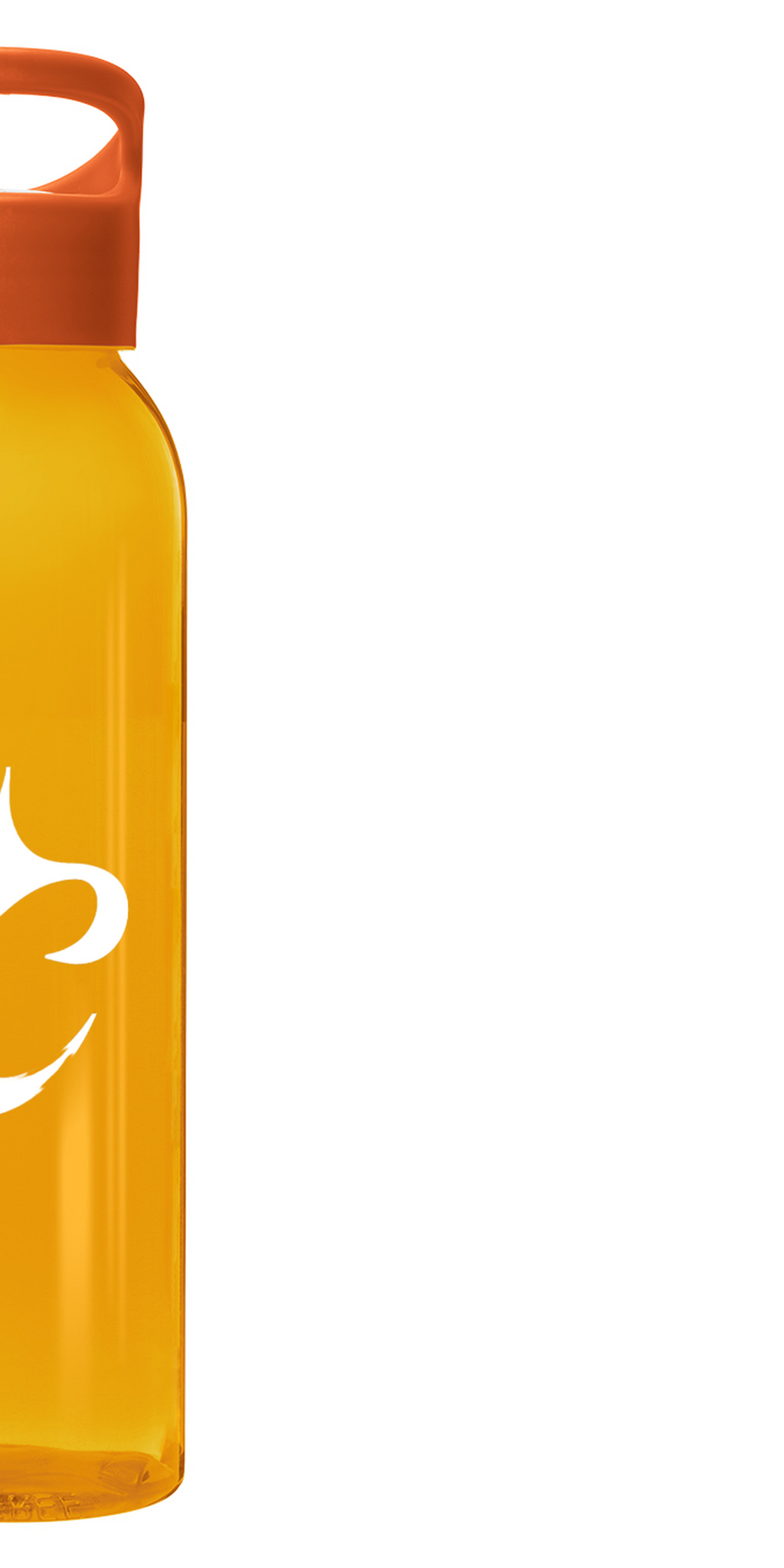 Gourde VitalFlow - 650ml