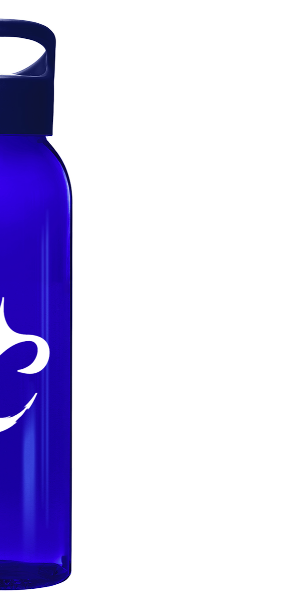 Gourde VitalFlow - 650ml